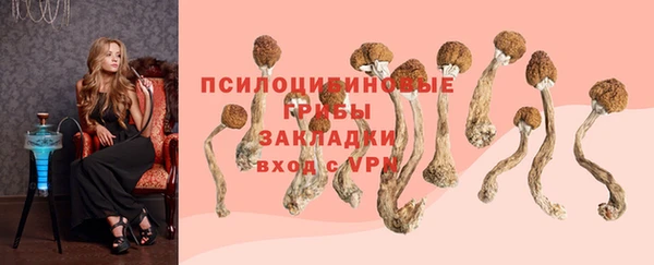соль курить ск Алексеевка