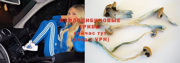 соль курить ск Алексеевка