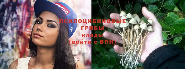 винт Дмитриев