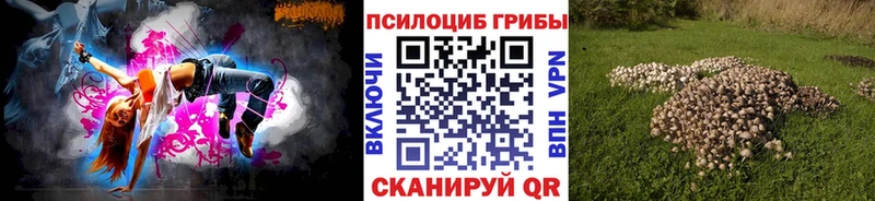 Псилоцибиновые грибы Cubensis Кулебаки